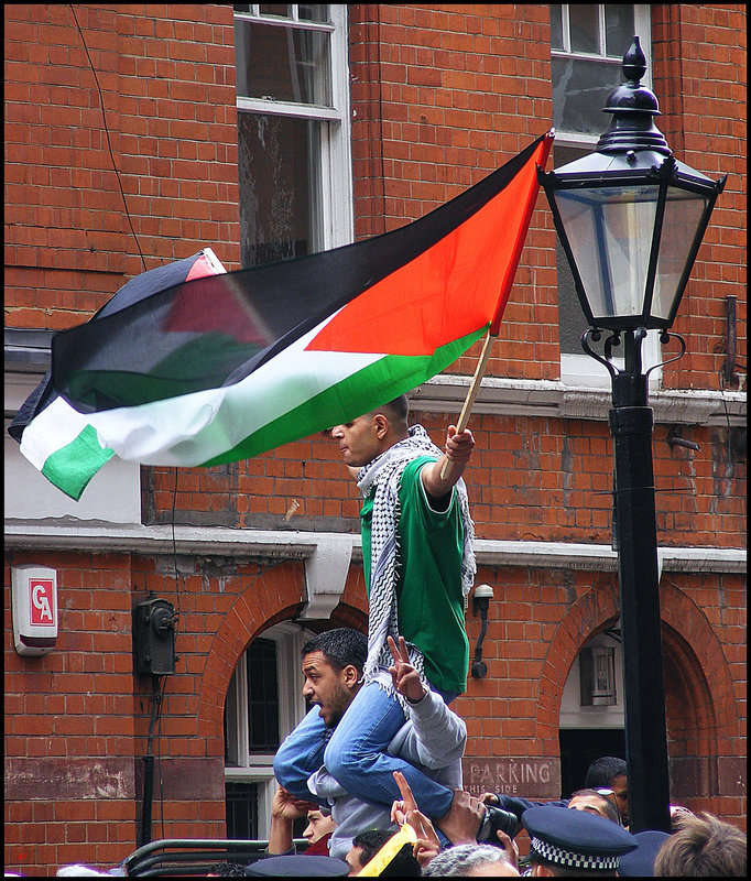 Flag and lampost