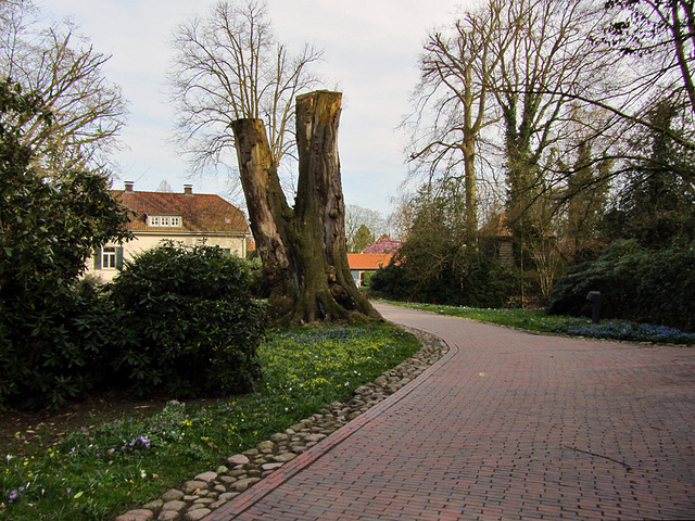 IMG 0271 Schlossgarten Oldenburg