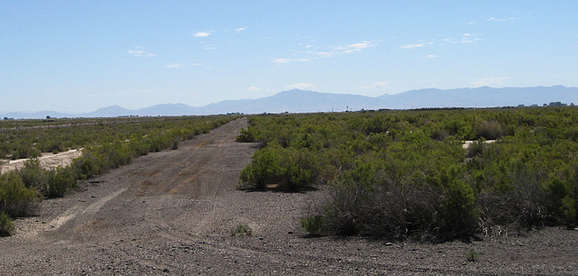 Topaz Internment Camp (1203)