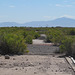 Topaz Internment Camp (1208)