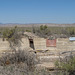 Topaz Internment Camp (1212)