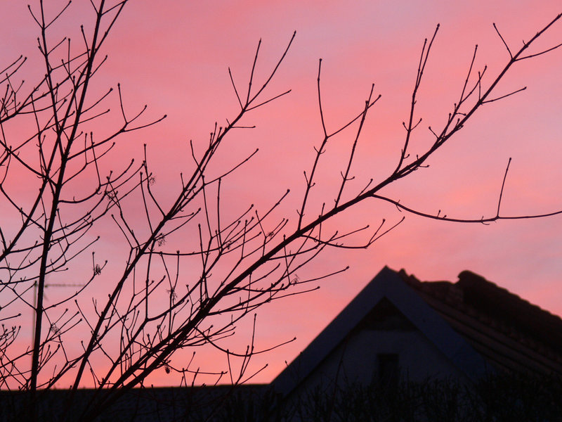 Morgenrot