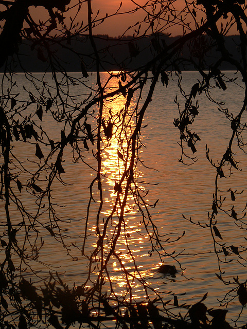 Spiegelung am See