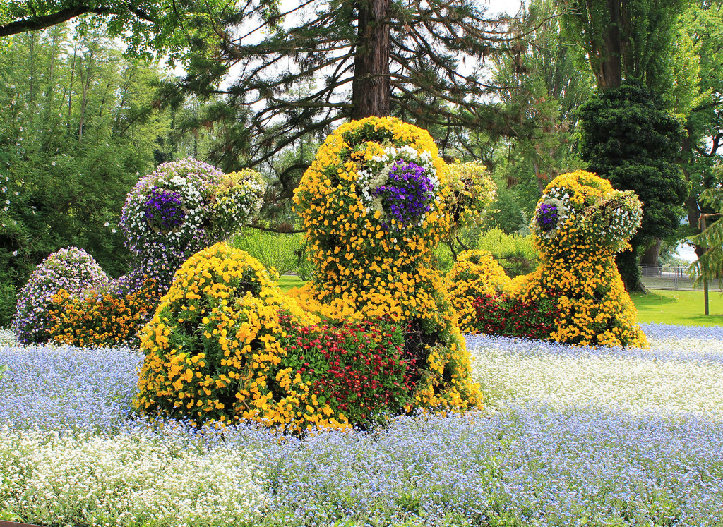 Insel Mainau