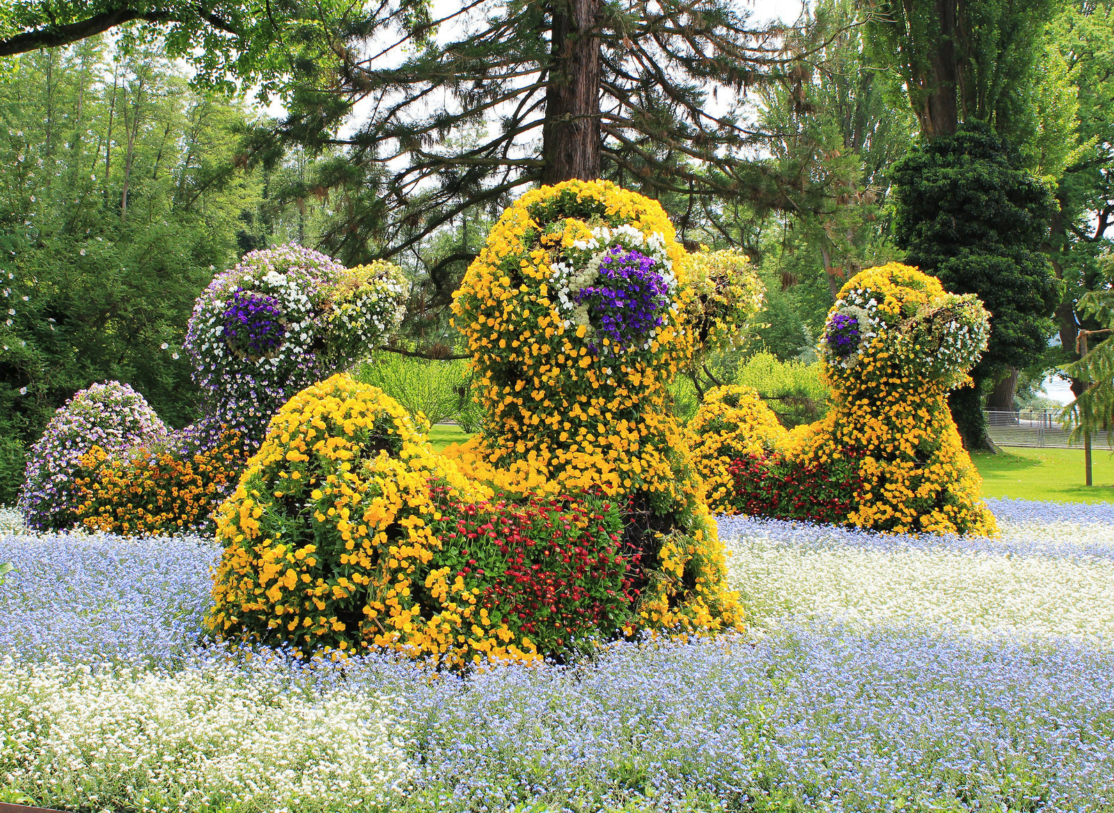 Insel Mainau