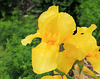 IMG 4250 auf Mainau