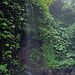 Small fall beside the Gitgit waterfall
