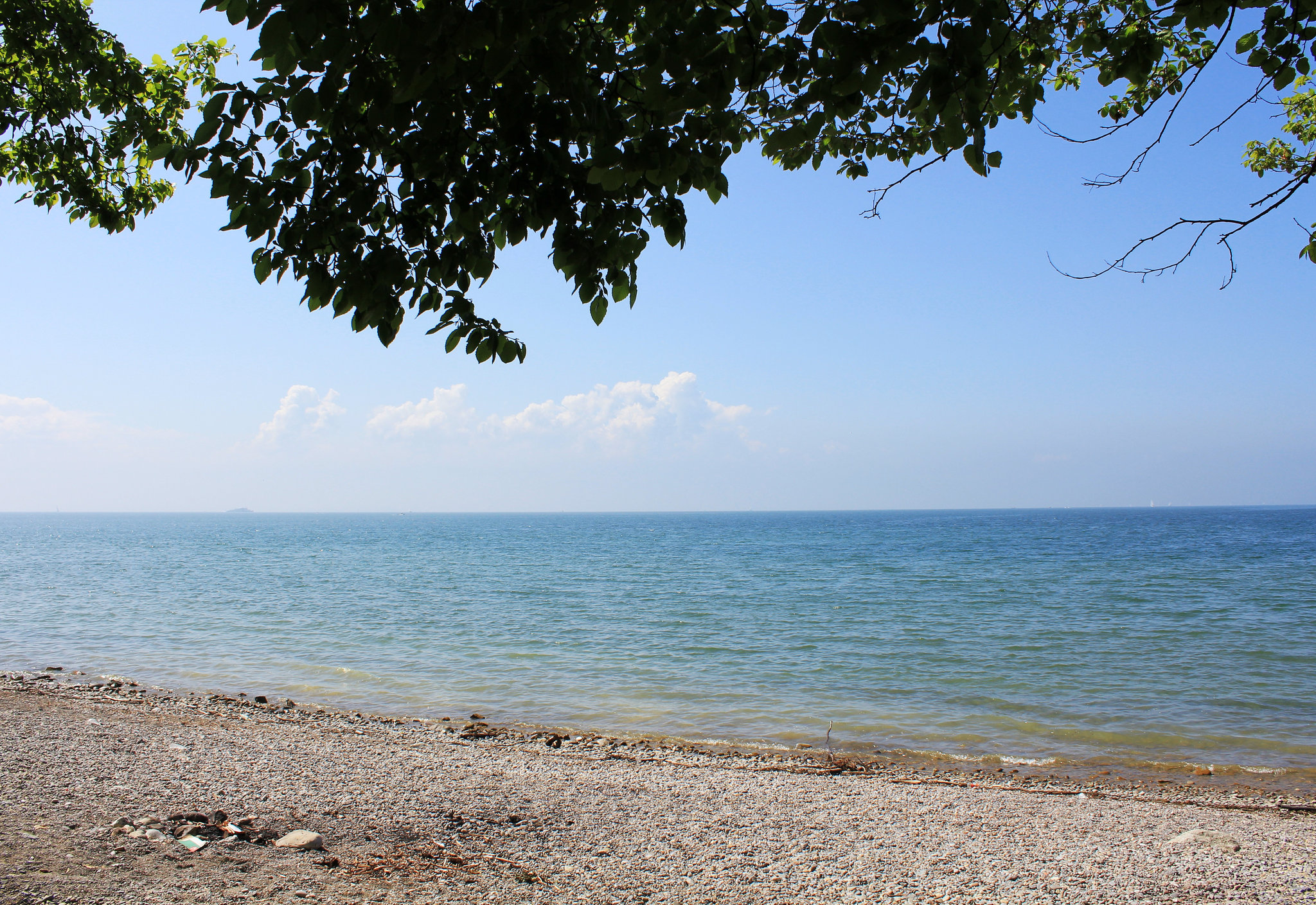 Der Bodensee