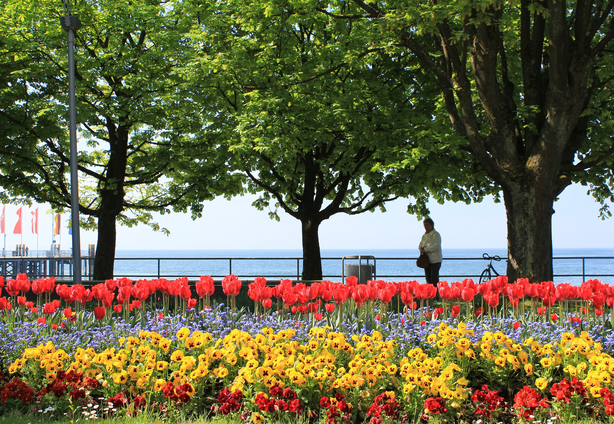 Am Bodensee