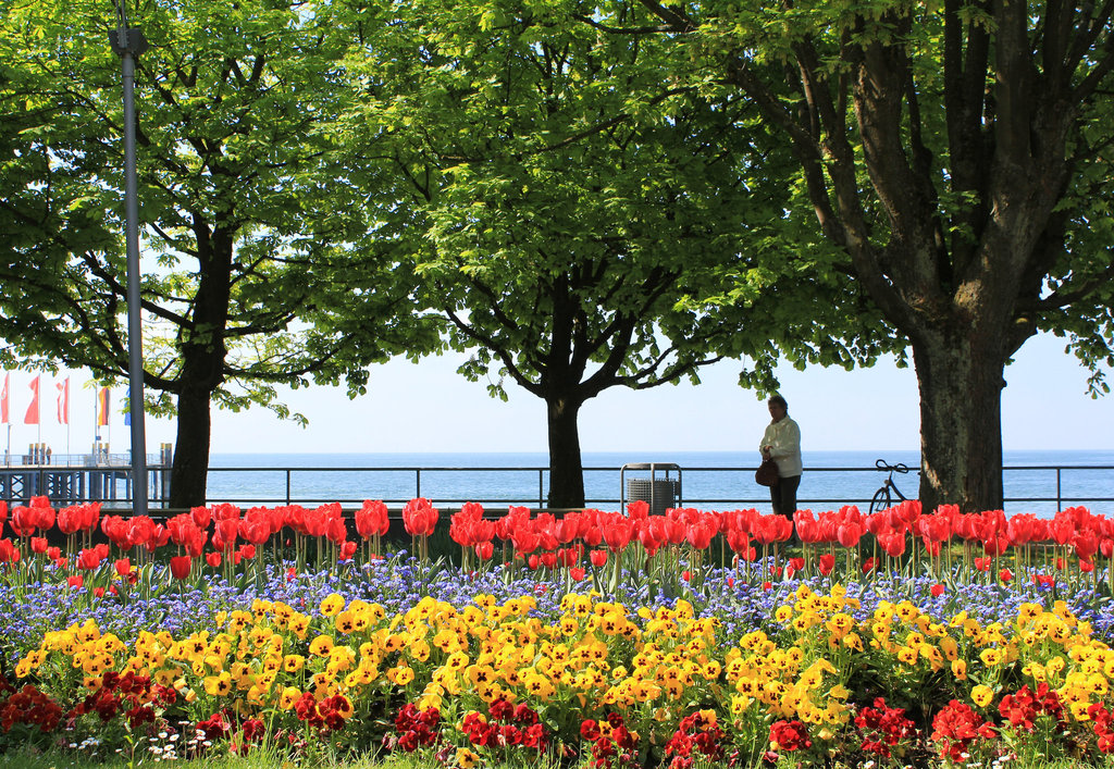 Am Bodensee