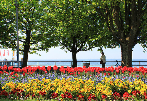 Am Bodensee