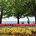 Am Bodensee