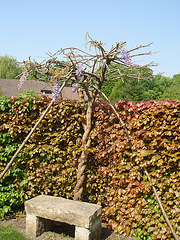 jardin parents P4251339