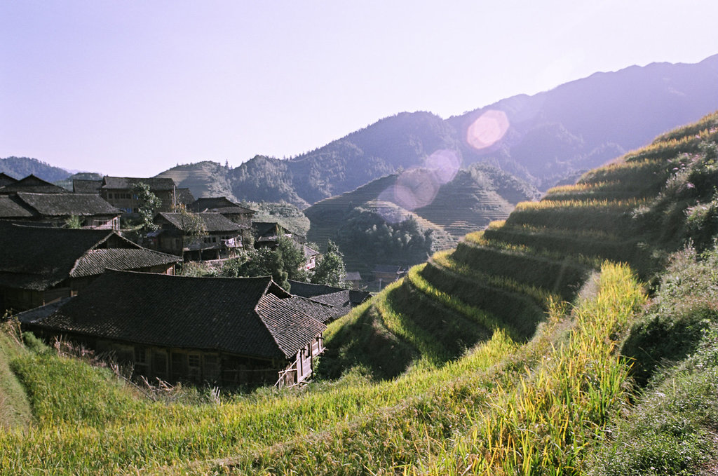 Huangluo terrace