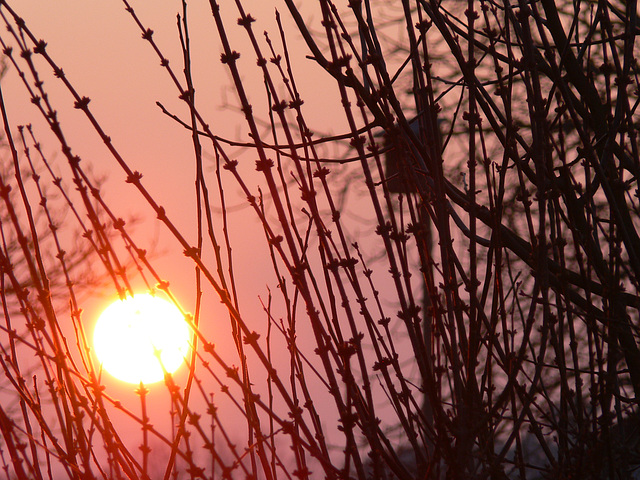 Feuerball am Abendhimmel