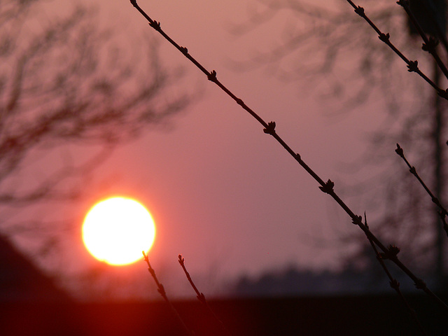 brennende Sonne am Abendhimmel