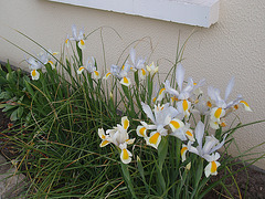 jardin parents P4251343