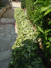 jardin parents P4251350