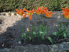 jardin parents P4251361