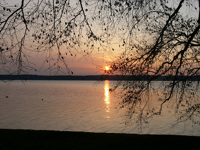 Sonnenaufgang am Starnberger See