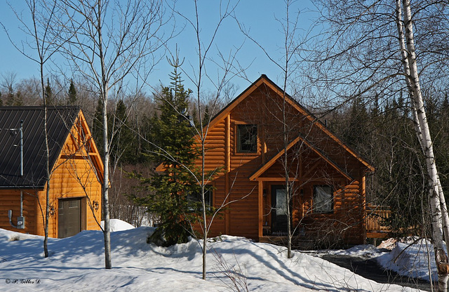 Maison en bois rond