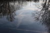 20110207 9715RAw [D~LIP] Großer Teich, Spiegelung, UWZ, Bad Salzuflen
