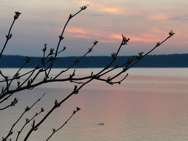 Blaue Stunde am Starnberger See