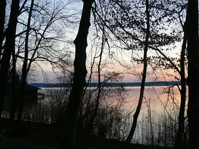 Blaue Stunde am Starnberger See