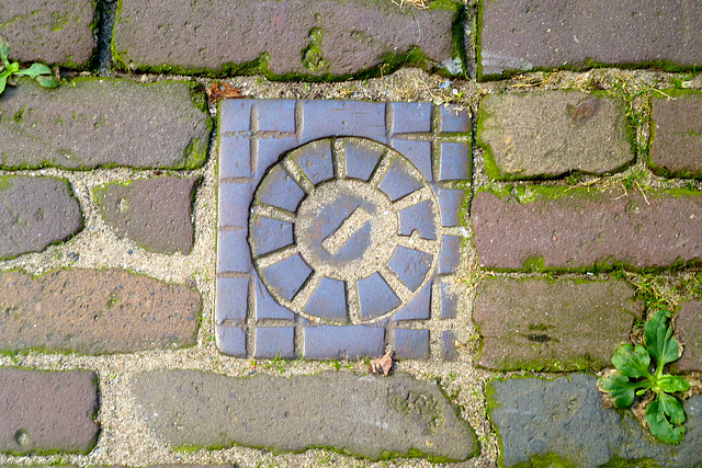 Access cover in Haarlem