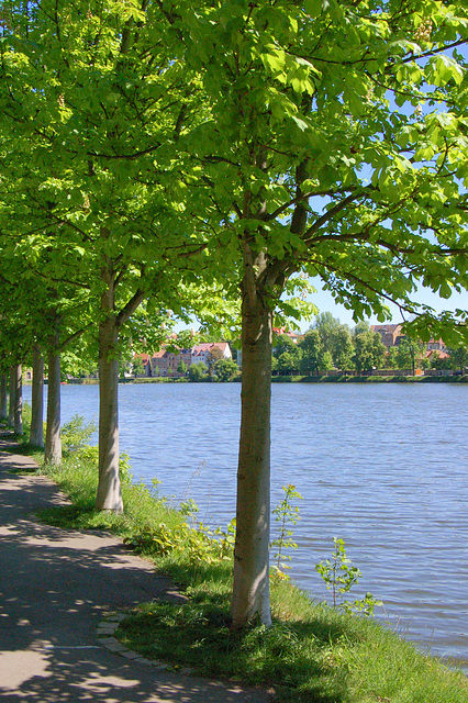 promenejo apud lago