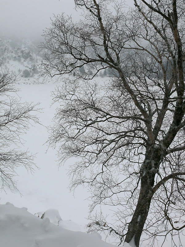 chinoiseries ciselées sur le Lac Blanc