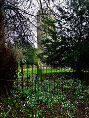 eccles church, quidenham, norfolk