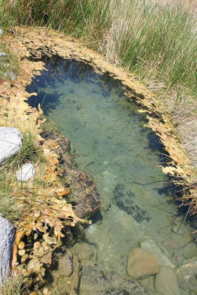 Upper Spring (0263)