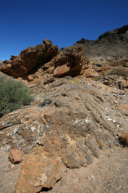 Steel Pass Road Geology (0258)