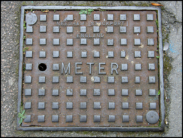 Needham meter cover