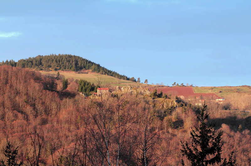 aurore (3)