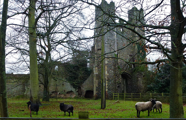 mettingham castle, suffolk