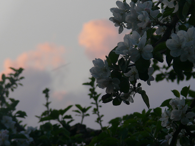 Osterabendhimmel