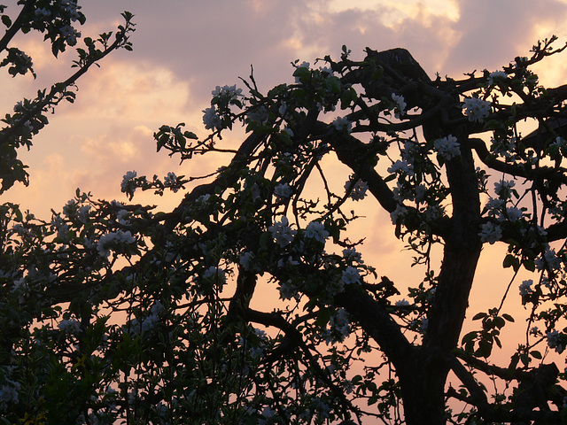 Ostern am Abend