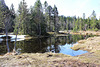 Hochmoor