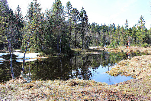 Hochmoor