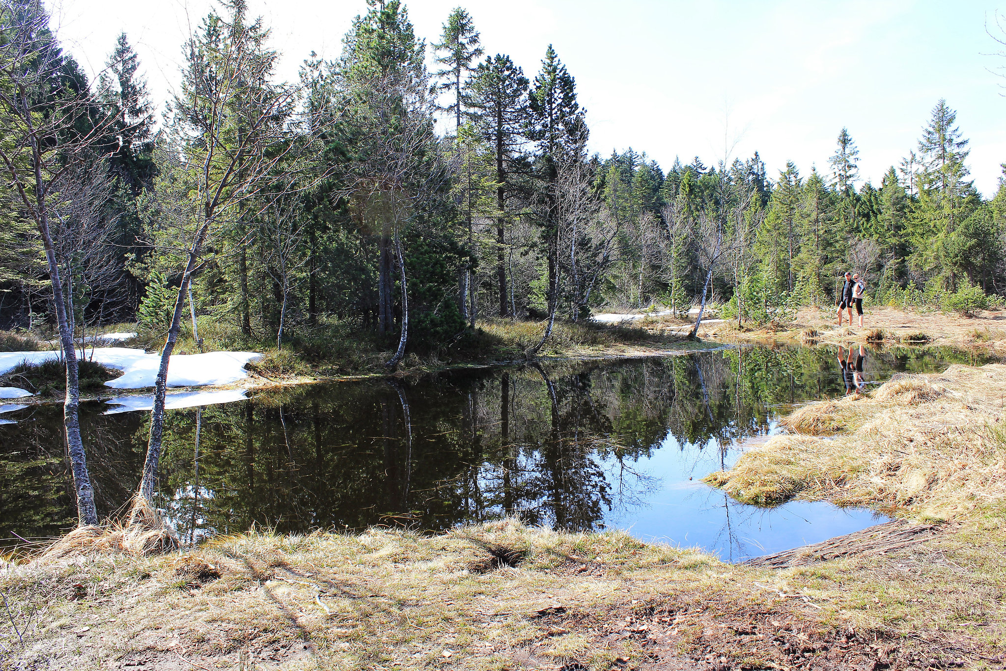 Hochmoor