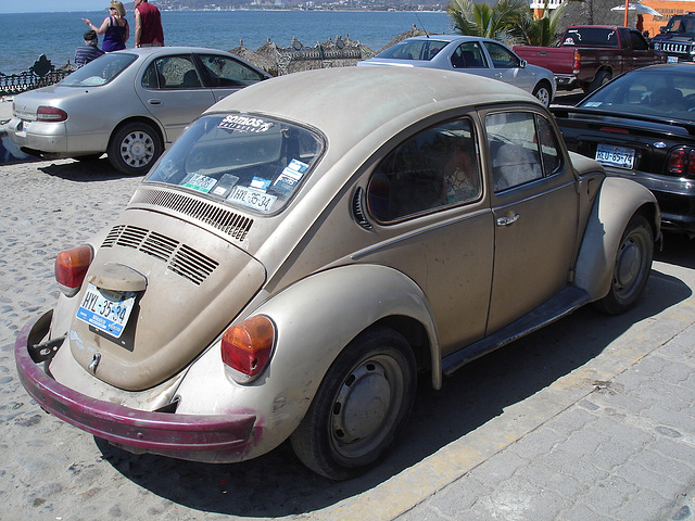 Bucerias, Nayarit. Mexique / 23 février 2011.