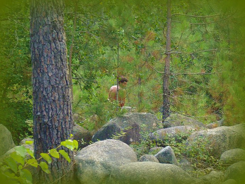 caché dans les bois mon fils pris en photo par sa copine