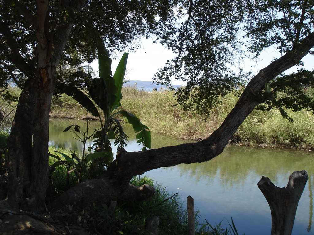 La Colonia, Nayarit. Mexique / 22 février 2011.