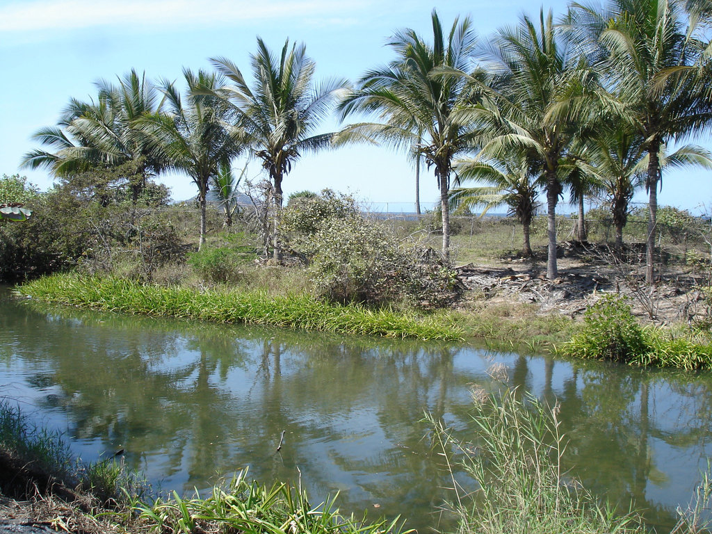 Paysage trempé