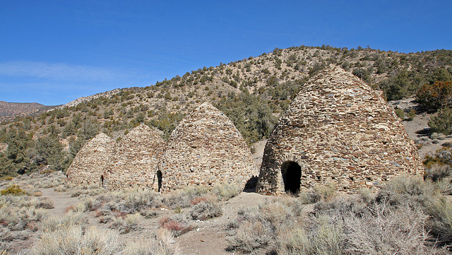 Charcoal Kilns (9622)