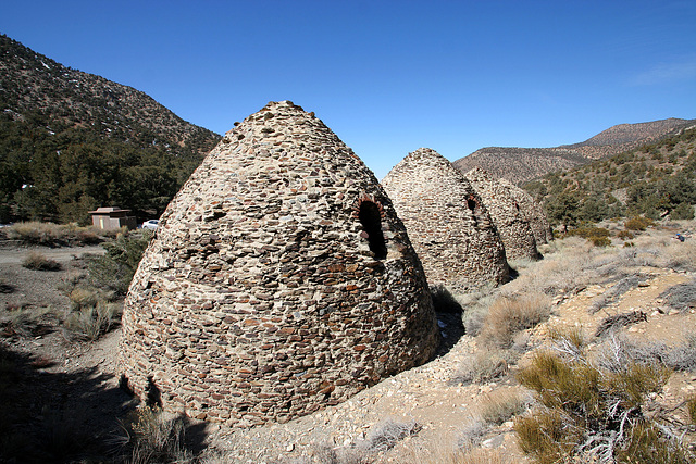 Charcoal Kilns (9635)