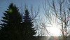 Morgensonne