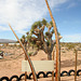 Noah Purifoy Outdoor Desert Art Museum - Earth Piece (9841)